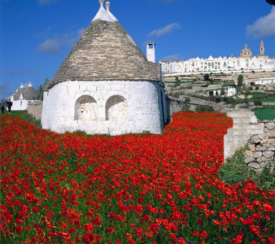 Trulli Sabrina Locorotondo bari